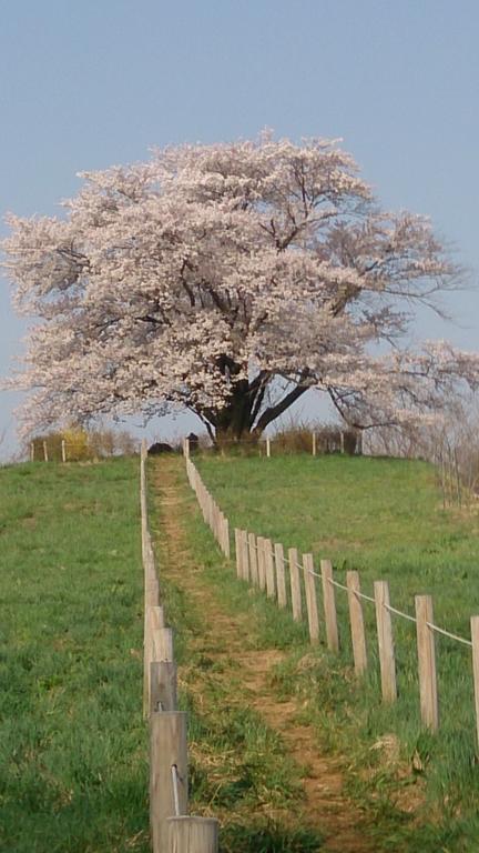 Active Resorts Iwate Hachimantai Hachimantai  Экстерьер фото